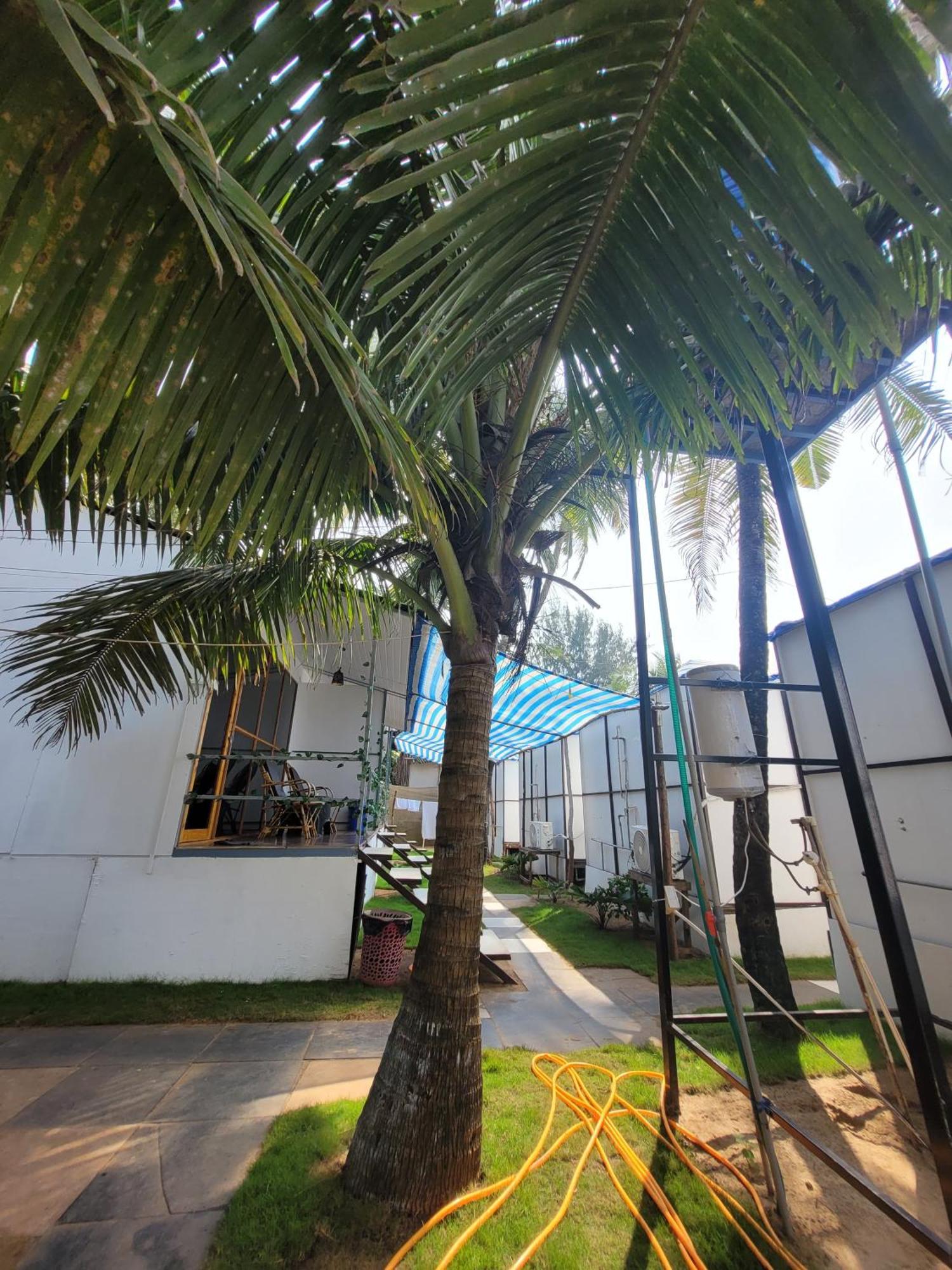 Kashinath Beach Huts Agonda Eksteriør bilde